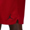 Pantalón corto Jordan Dri-Fit Sport Mesh