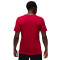 Camiseta Jordan Dri-Fit Sport