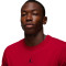 Jordan Dri-Fit Sport T-Shirt