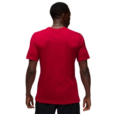 Camiseta Dri-Fit Sport
