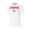 Jordan Croatia Fanswear 2024 T-Shirt