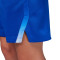 Pantalón corto Jordan Selección de Francia Limited Road Mujer 2024