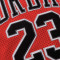 Camiseta Jordan 23 Jersey Niño