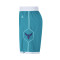 Jordan Charlotte Hornets Icon Swingman Niño Shorts