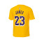 Playera Nike Los Angeles Lakers Essential Icon Edition Lebron James Preescolar