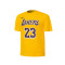 Camiseta Nike Los Angeles Lakers Icon Edition Lebron James Preescolar