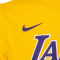 Camiseta Nike Los Angeles Lakers Icon Edition Lebron James Preescolar