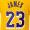 Camiseta Nike Los Angeles Lakers Icon Edition Lebron James Preescolar