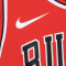 Maillot Nike Préscolaire Chicago Bulls Icon Edition -Zach Lavine