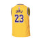 Camiseta Nike Los Angeles Lakers Icon Edition LeBron James Preescolar