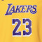 Maglia Nike Los Angeles Lakers Icon Edition LeBron James Età Prescolare