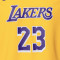 Camiseta Nike Los Angeles Lakers Icon Edition LeBron James Preescolar