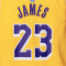 Camiseta Nike Los Angeles Lakers Icon Edition LeBron James Preescolar