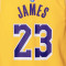 Maillot Nike Préscolaire Los Angeles Lakers Icon Edition LeBron James