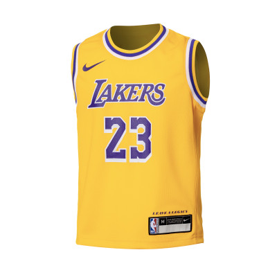 Camiseta Los Angeles Lakers Icon Edition LeBron James Preescolar
