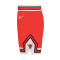 Pantaloncini Nike Chicago Bulls Icon Edition Replica 2023-2024 Preescolar