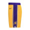 Calções Nike Los Angeles Lakers Icon Edition 2023-2024 Preescolar