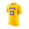 Camiseta Nike Los Angeles Lakers Icon Edition LeBron James Niño