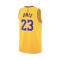 Nike Kids Los Angeles Lakers Icon Edition 2023-2024 T-Shirt