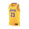Jersey Nike Los Angeles Lakers Swingman Icon Edition Lebron James Niño