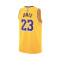 Jersey Nike Los Angeles Lakers Swingman Icon Edition Lebron James Niño