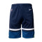 Short Nike Enfants Minnesota Timberwolves Icon Swingman