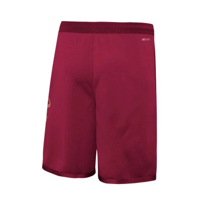 Cleveland Cavaliers Icon Edition 2023-2024 für Kinder Shorts
