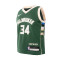 Nike Kids Milwaukee Bucks Icon Edition Giannis Antetokounmpo Jersey