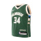 Maillot Nike Préscolaire Milwaukee Bucks Icon Edition Giannis Antetokounmpo 