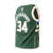 Nike Kids Milwaukee Bucks Icon Edition Giannis Antetokounmpo T-Shirt