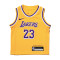 Maglia Nike Los Angeles Lakers Icon Edition Lebron James Bambino