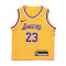 Camiseta Nike Los Angeles Lakers Icon Edition Lebron James Preescolar