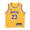 Nike Kids Los Angeles Lakers Icon Edition Lebron James Jersey