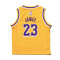 Nike Kids Los Angeles Lakers Icon Edition Lebron James Jersey