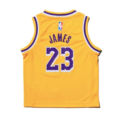 Kids Los Angeles Lakers Icon Edition Lebron James Jersey