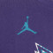 Camiseta Jordan Charlotte Hornets Essential Logo Niño