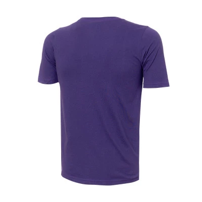 Playera Charlotte Hornets Essential Logo Niño