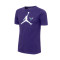 Camiseta Jordan Charlotte Hornets Jumpman Logo Niño