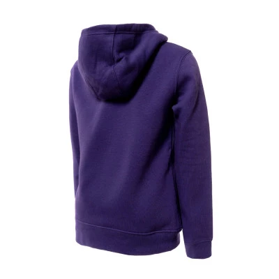 Sudadera Phoenix Suns Swoosh Niño