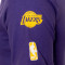 Camiseta Nike Los Angeles Lakers 2023-2024 Niño