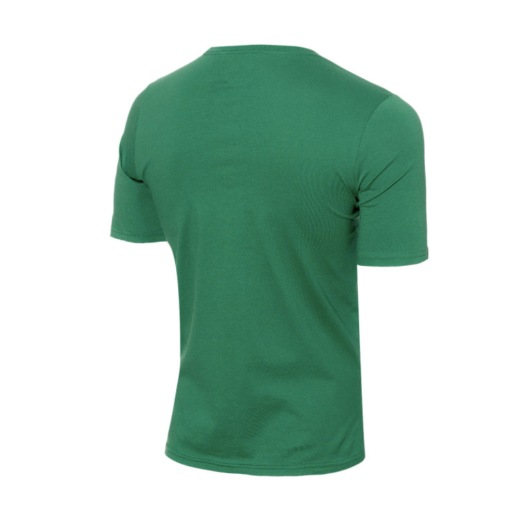 camiseta-nike-boston-celtics-2023-2024-nino-verde-1