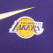Camiseta Nike Los Angeles Lakers Essential Swoosh Niño