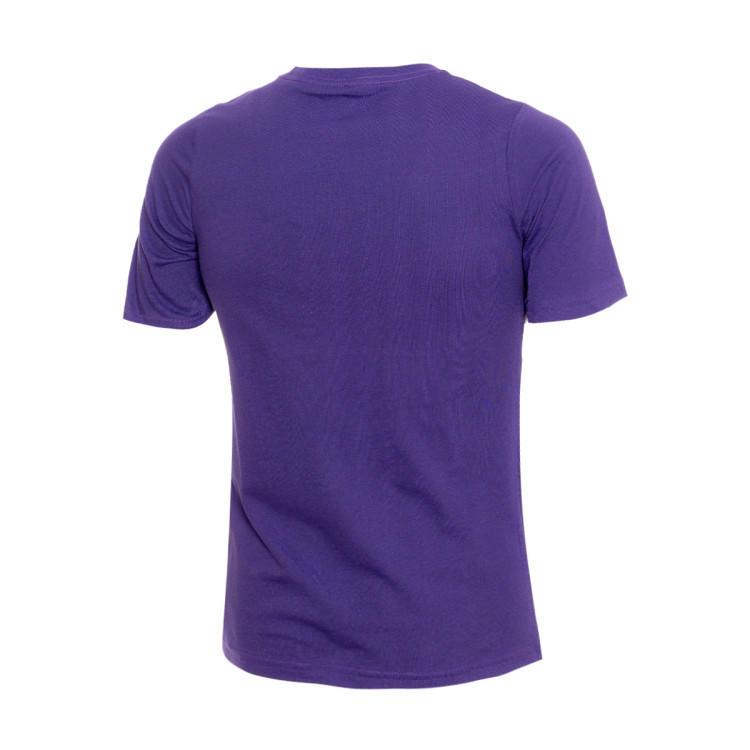 camiseta-nike-los-angeles-lakers-essential-swoosh-nino-purpura-1