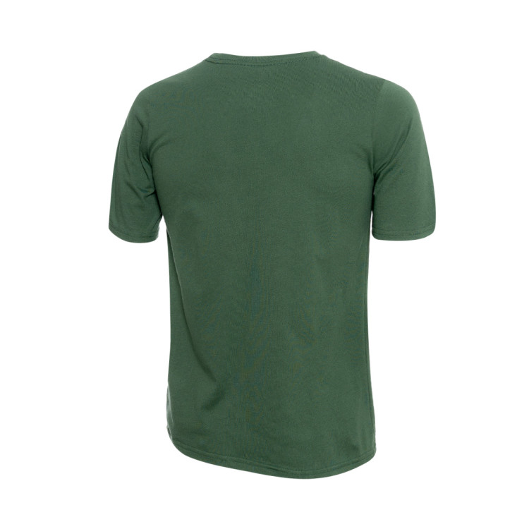 camiseta-nike-milwaukee-bucks-essential-swoosh-nino-verde-1