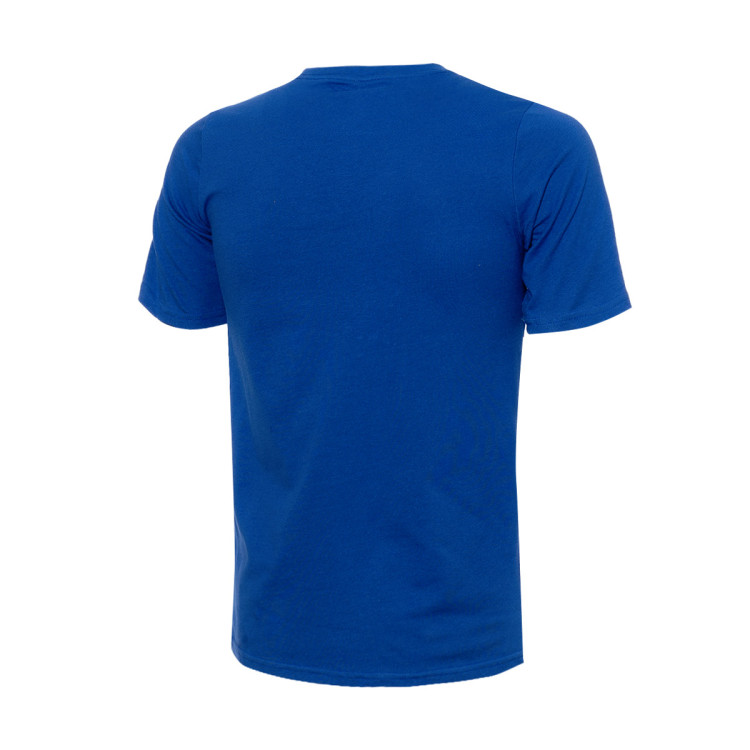 camiseta-nike-new-york-knicks-essential-swoosh-nino-azul-1