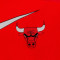 Camisola Nike Chicago Bulls Essential Swoosh Criança