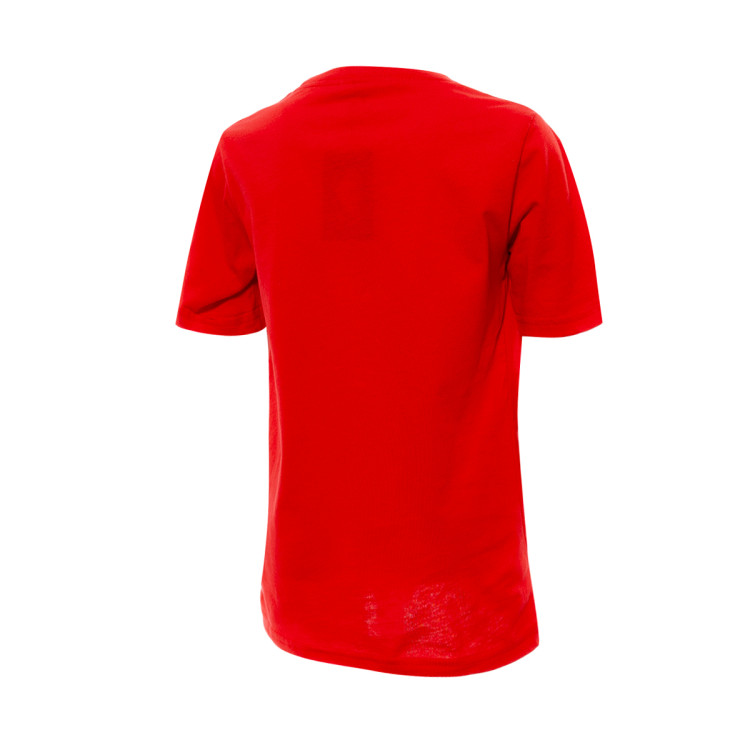 camiseta-nike-chicago-bulls-essential-swoosh-nino-rojo-1
