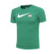Camiseta Nike Boston Celtics Essential Swoosh Niño