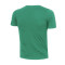 Camiseta Nike Boston Celtics Essential Swoosh Niño