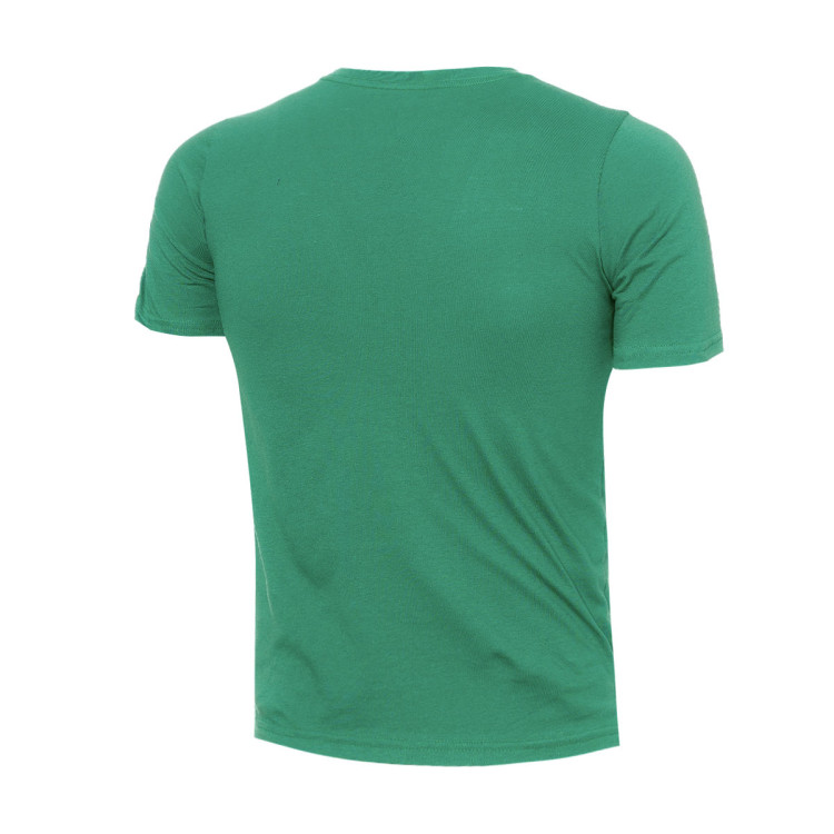 camiseta-nike-boston-celtics-essential-swoosh-nino-verde-1
